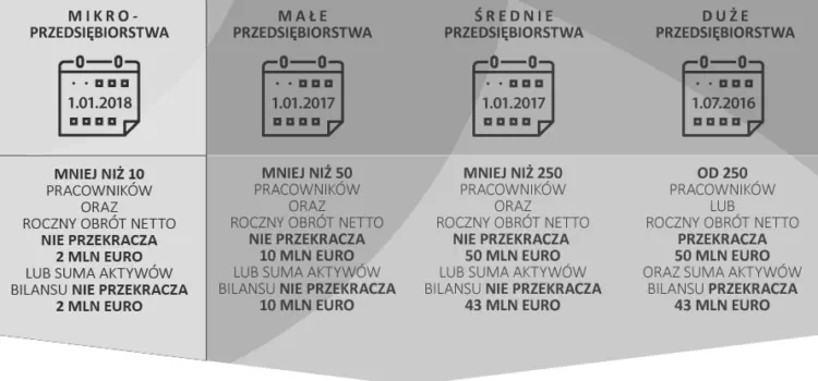 struktura wielkości przedsiębiorstw